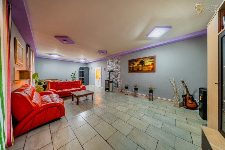 Casa de vanzare 7 camere Santana