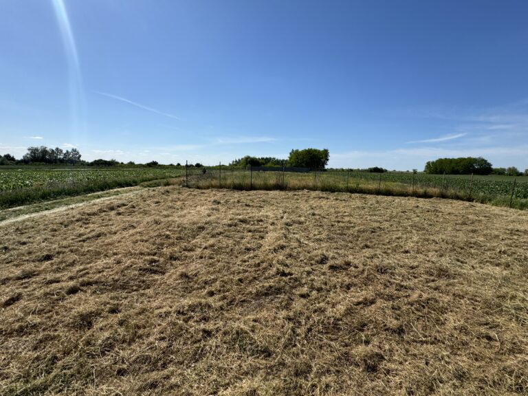 Teren intravilan 400 mp de vanzare in Sanpaul