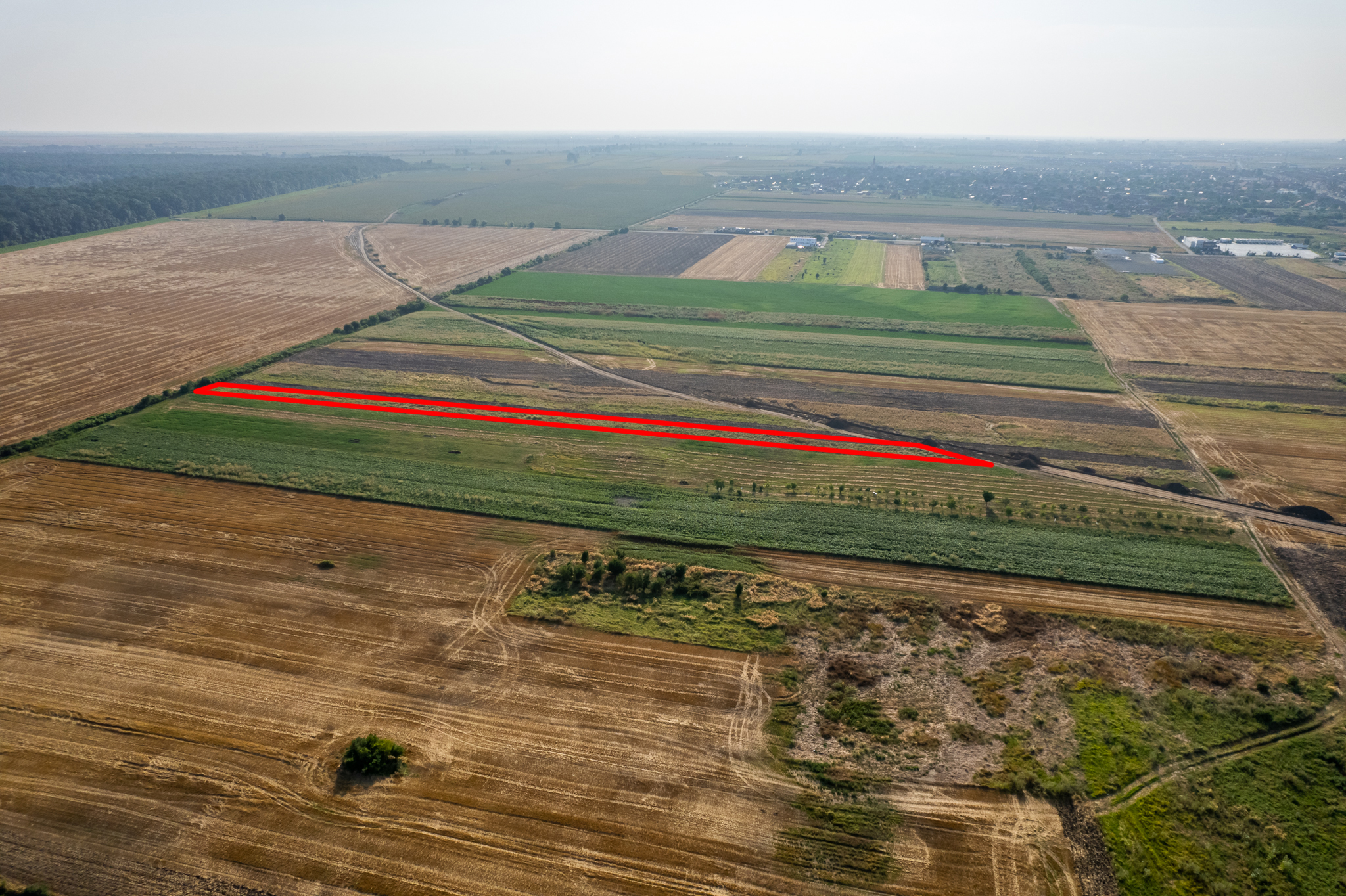 Teren 4.271 mp de vanzare  în Vladimirescu