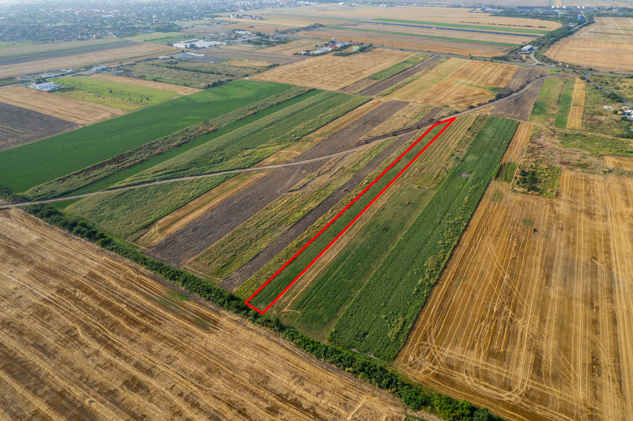 Teren 4.271 mp de vanzare  în Vladimirescu