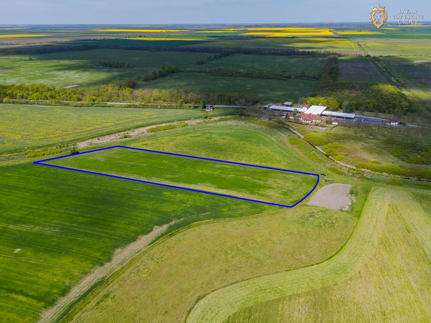 Teren Agricol Extravilan de Vanzare, Turnu Arad