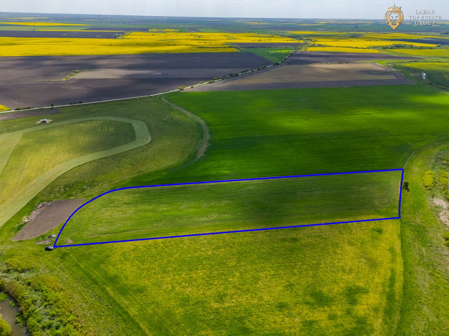 Teren Agricol Extravilan de Vanzare, Turnu Arad
