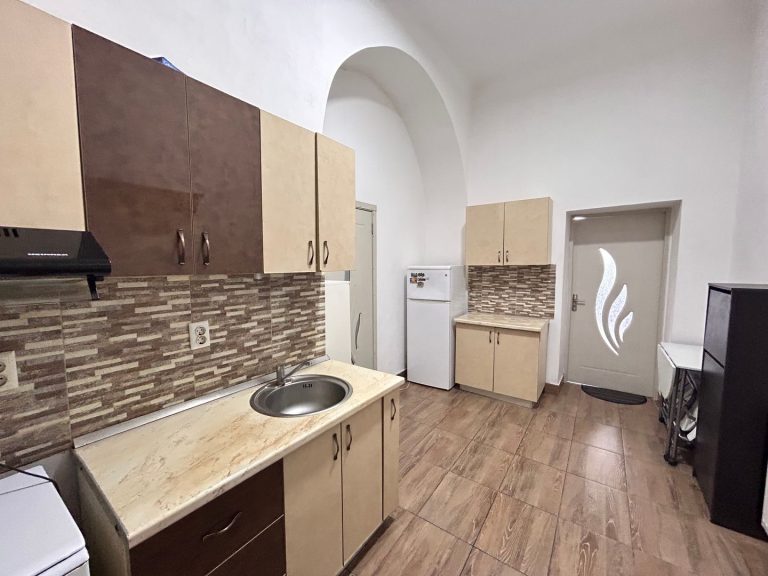 Apartament 1 camera central de inchiriat